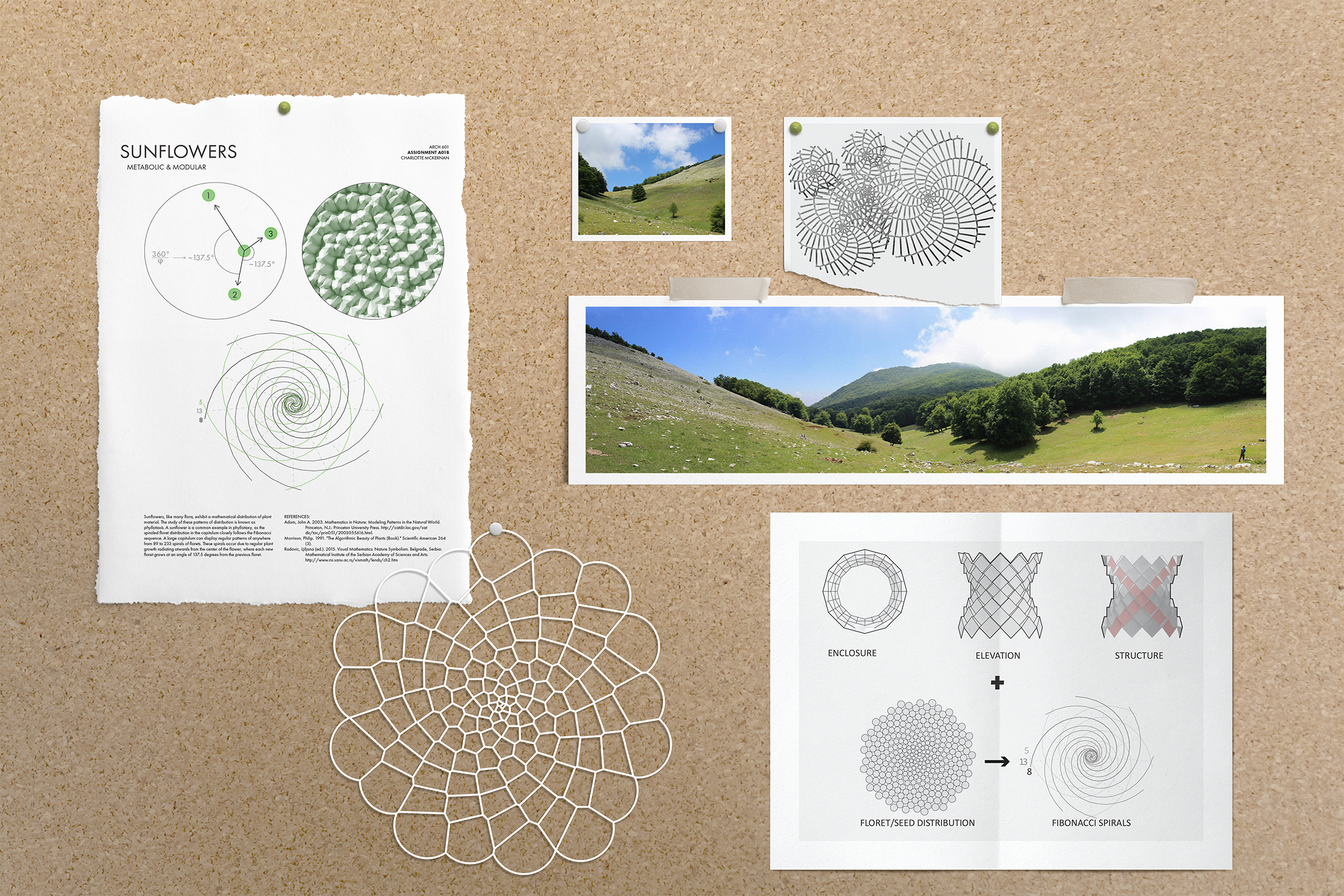 Morphology_Mockup_1-1